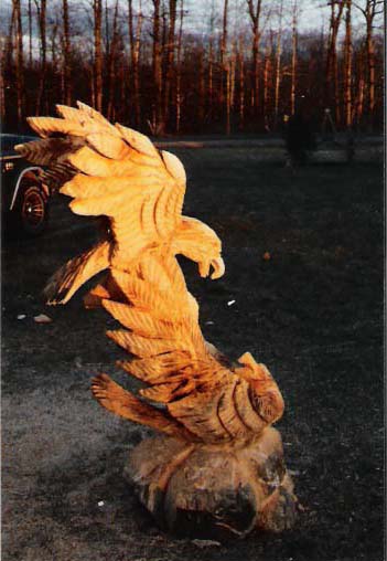 Eagles Fighting